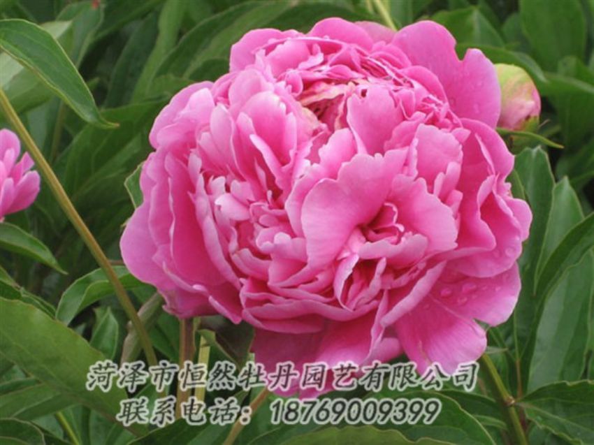 點擊查看詳細信息<br>標題：月照山河 閱讀次數：1045